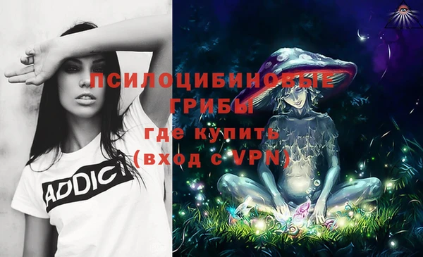 гашик Балахна