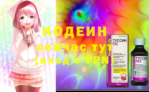 гашик Балахна