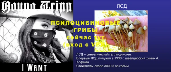 гашик Балахна