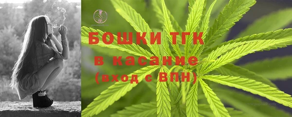 гашик Балахна